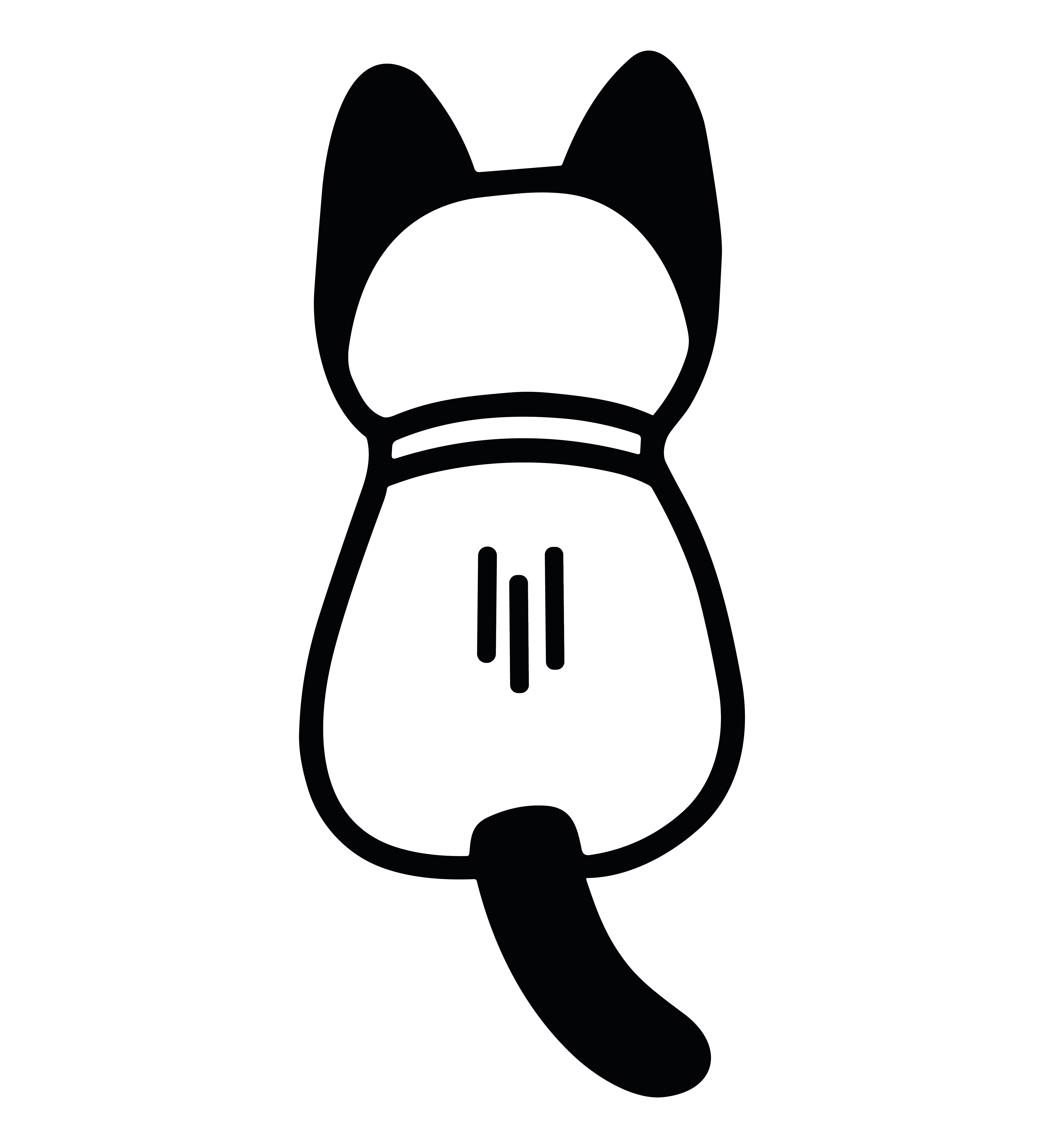 Mysterious Cat Back